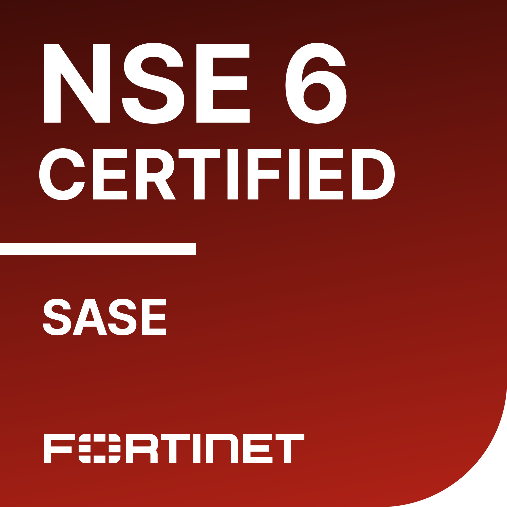 NSE 6 - SASE